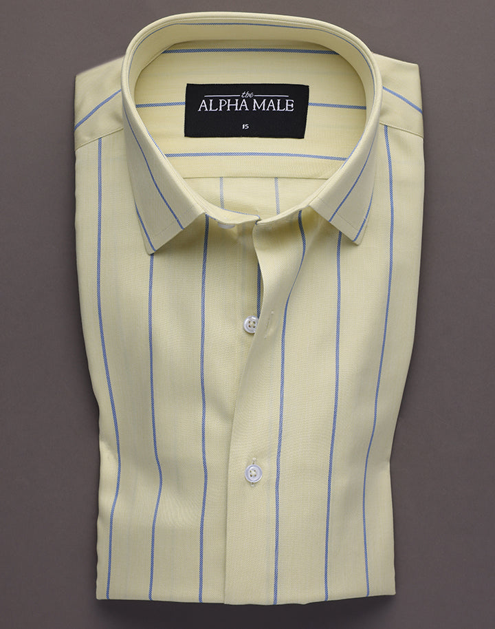 Yellow & Blue Broad Stripes